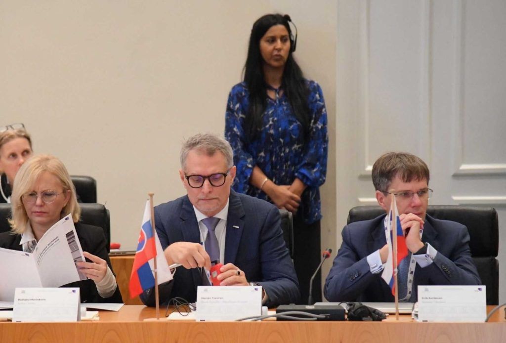 Vice-President of the Supreme Administrative Court of the Slovak republic in a seminar